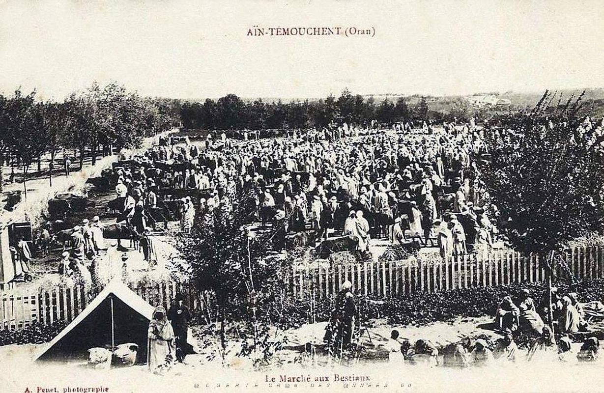 Ain temouchent 053.JPG